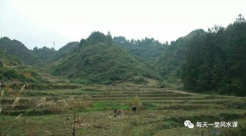 阴宅风水二十四山葬法