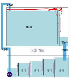 既想保持鱼缸清洁又想没有强大大的水流,我们是可以做到的 