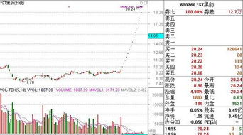 ST黑豹这个股票是什么公司的，具体做什么的啊?