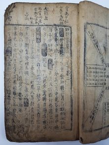 中国唐代农书最古老版本现身韩国 或被奉为国宝 