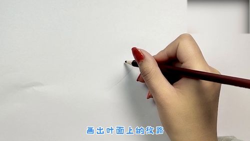 枫叶简笔画要怎么画才会好看呢 