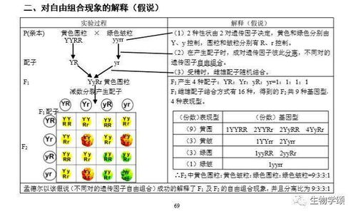 高中生物。在生物里面A什么时候对应T。什么时候对应U?