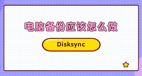 Disksync