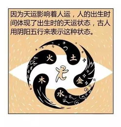 图解漫画版 周易 ,五分钟让你看懂神秘的算命与八字 超棒