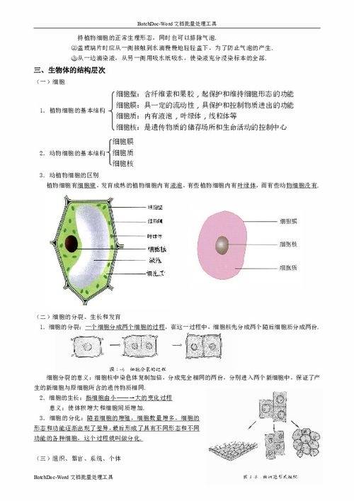 初中的生物知识