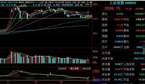 谁能帮我分析一下5日均线从哪看得出来？谢了…