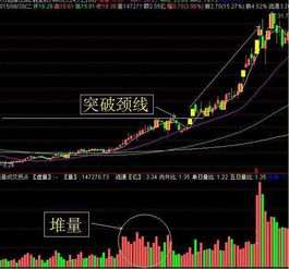 股票报喜鸟明天上涨的概率大还是下跌的概率大？