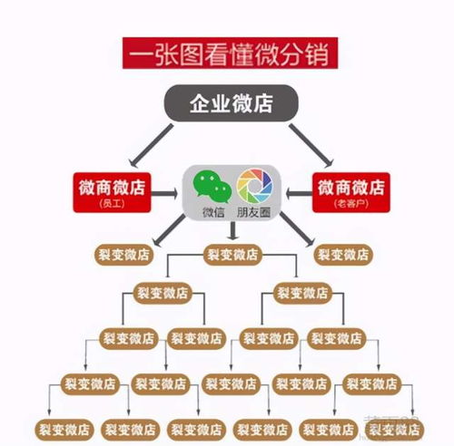 裂变营销方法有哪些(裂变营销模式)