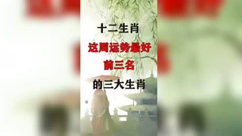 杨氏命理学的个人频道 