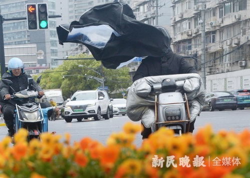 土台风 携风带雨来袭