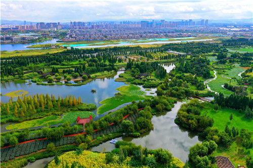 宝丰湿地公园什么时候开放(宝丰免费停车场有哪些项目)