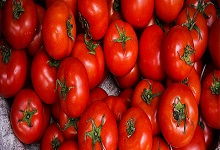 西红柿和圣女果的区别,西红柿和圣女果的区别