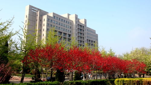 营口大学老校区干什么，东北财经大学有哪些校区