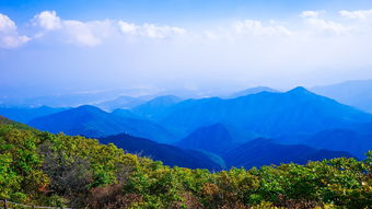 传奇的五步定华山，五步定华山的由来