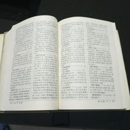 中国成语大词典 
