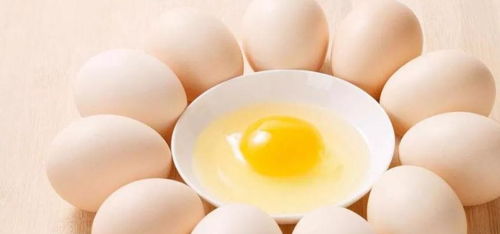 石鸡蛋是什么东西