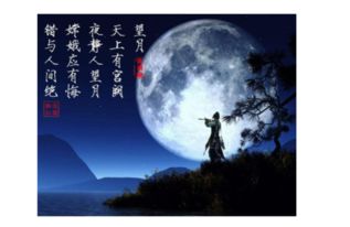 小学苏轼关于月亮的诗句