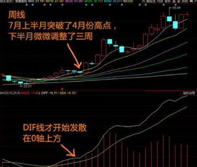 什么叫分时k线?日线?周线?月K线?半年线?年线?