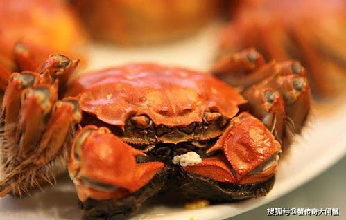 大闸蟹怎么才能螃蟹肉嫩不柴不寒,记住几个技巧,保证只只超鲜美