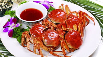 从 红楼梦 到 陶庵梦忆 ,中国人为什么钟爱吃螃蟹