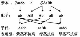 豌豆紫茎为显性.抗病为显性.灰种皮为显性.各由一对等位基因控制.并分别位于三对同源染色体上.请回答 1 在只考虑茎的颜色和种皮颜色遗传实验中.子代的四种表现型经常出现的比例有 