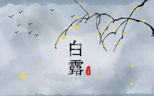 二十四节气 白露 秋风至,白露生