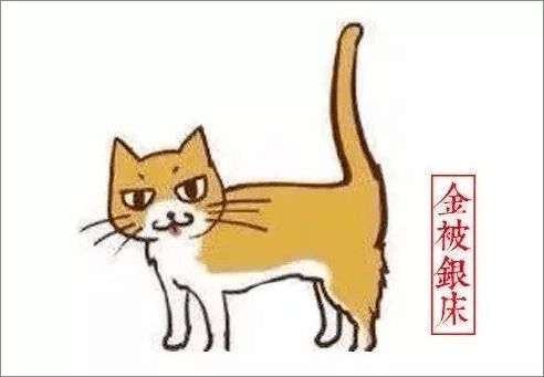 听了古人给猫取的名字后,我家猫直接气哭了......