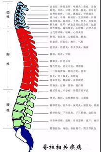 通背三手制敌法在散打中的实用.pdf