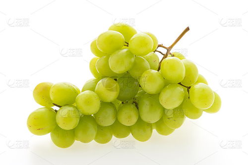 绿色的葡萄 其他图片 