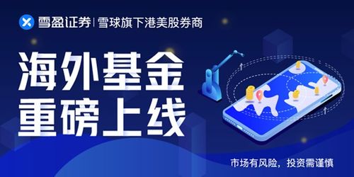 雪盈证券出入金方便吗