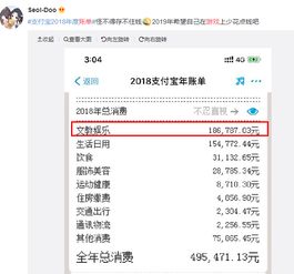 支付宝年度账单几百万