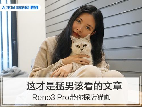 这才是猛男该看的文章,Reno3 Pro带你探店猫咖