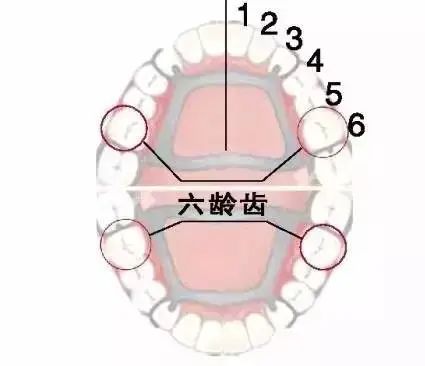 六龄齿坏了没得换,90 父母都不知道