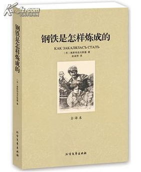 励志类中心细节描写-钢铁是怎样炼成的生动传神的细节描写并赏析文字？