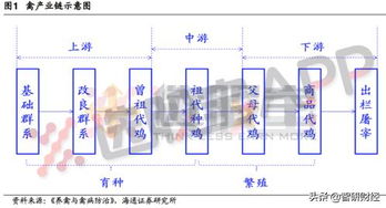 谁知道全国的各大养鸡企业？