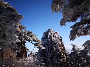 初到黄山丨如何科学玩转黄山必打卡景点 黄山旅游攻略