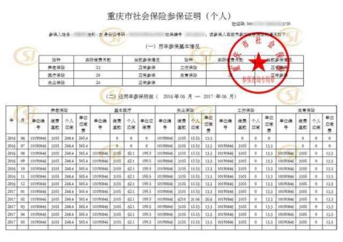 社保流水打印