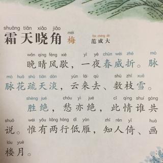 范成大 霜天晓角 梅