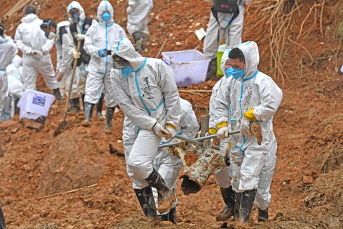 百度热搜东航空难遗体残肢的简单介绍