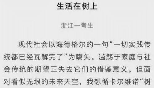 网恋投稿照片怎么弄好看，浙江考生满分作文你怎么评价