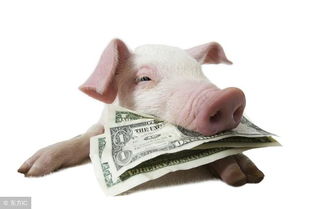 猪价从近八年来的最低点连涨不停 行业龙头显著受益 附股