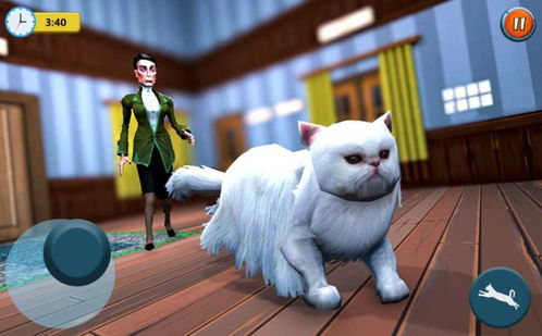 虚拟小猫模拟器游戏下载 虚拟小猫模拟器v3.4 安卓版 腾牛安卓网 