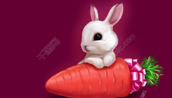 兔子萝卜图片设计图免费下载 1920像素 jpg格式 编号14135546 千图网 