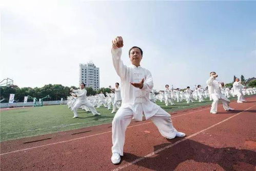 太极拳合不合理 你一定要看这几点