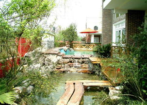 院子上的庭院鱼池最佳位置(庭院鱼池在哪个方位风水好)