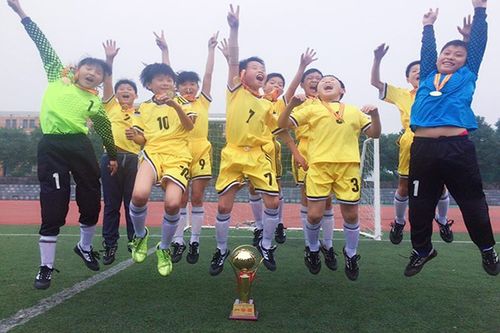 八字哨镇学校喜获赫山区2016年乡镇小学足球联赛冠军