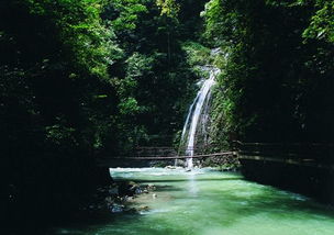 市辖区 黑山谷风景区在哪儿 市辖区 黑山谷风景区怎么去 市辖区 黑山谷风景区旅游攻略 重庆市辖区万盛区旅游风景区 骑行圈 