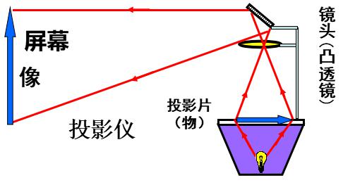 STEM 居家课堂 二 倒游小鱼