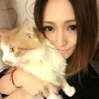 女生QQ头像抱着猫咪,然后用搭配网名和个性签名求比如 