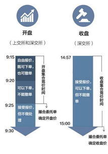 怎么在9：30分以前提前看到集合竟价数据?